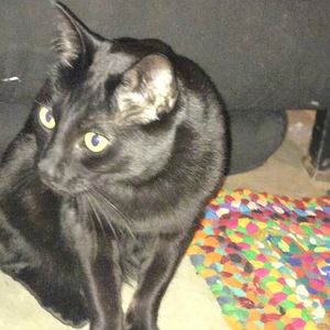 Meet your Posher, Meredith